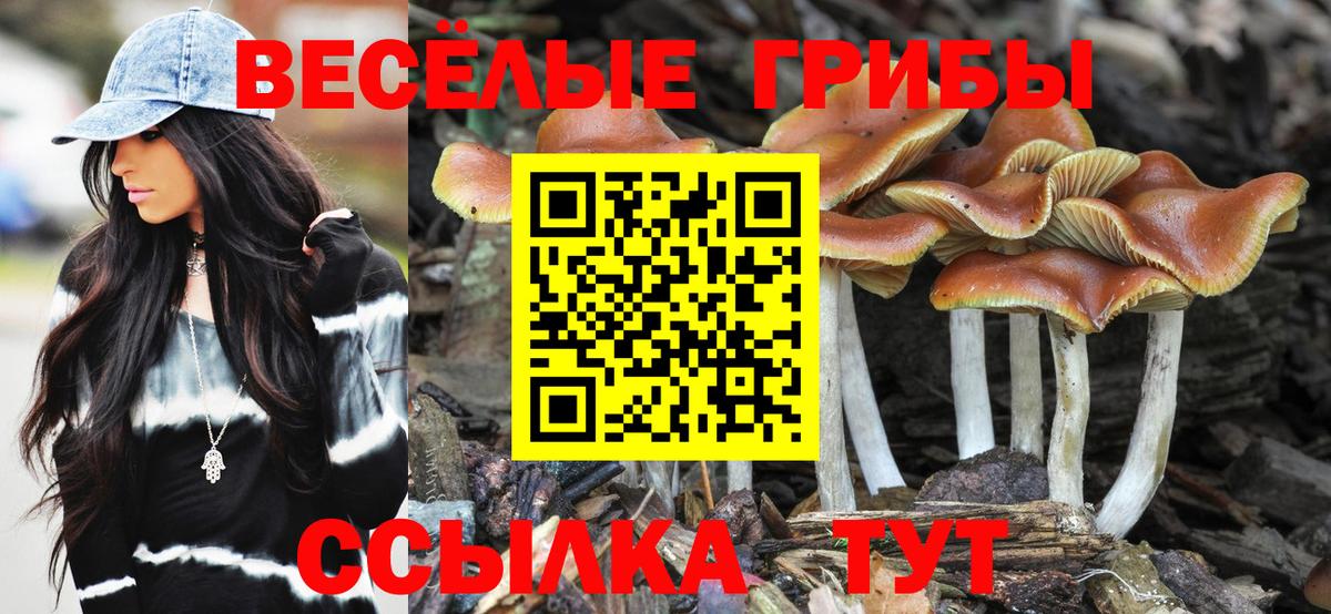 Псилоцибиновые грибы MAGIC MUSHROOMS  Вход с VPN  Галлюциногенные грибы Psilocybe  Каспийск 