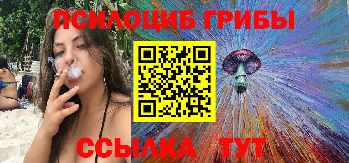Псилоцибиновые грибы мицелий Каспийск